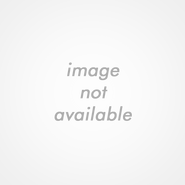 CDJapan, 1997 Sony Records SRCL 4062