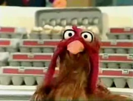 StephanieChicken.jpg (18 KB) Stephanie Chicken Sesame Street "Here Is Your Life: Carton of Eggs"