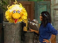 Buffy, Cody, and Big Bird Episode 1536