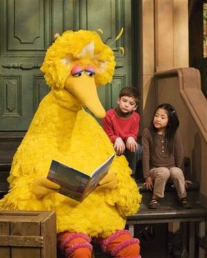 Big bird book kids