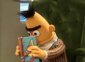 Bert reading Bonfire of the Oatmeal