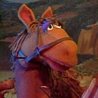 Buster the Horse (Season 12)