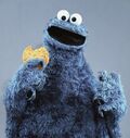 Cookie Monster