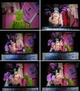 ...and finding just the right one...