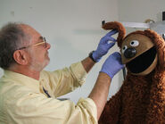 Howard Clemenko working on the mounting of Rowlf's ear.