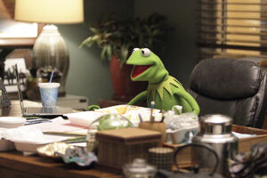 Kermit's office 2015