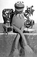 Kermit with a BAFTA and a Rose d'Or.