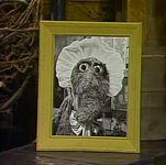 One-day-old SnuffySesame Street Episode 1543