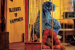 Bluebird of Happiness