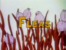 Fleas have fun in fur (First: Episode 0630)