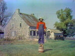 George's Farm: Near/Far
