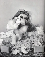 Piggy guide tissues.jpg (230 KB)