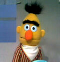 Bert