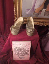 Christian shoes on display.jpg (123 KB) Christian Louboutin's designer shoes for Piggy