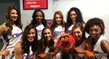 Animal with the LA Clippers' Spirit Dancers