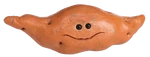 Sweet Potato