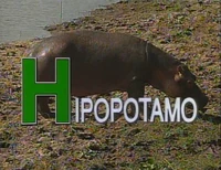 H - Hipopótamo (EKA: Episodio 848)