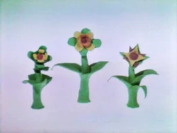 0121 several seeds growing