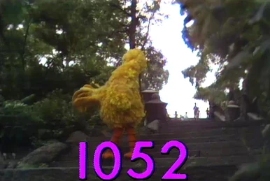 20 Bands Trash 20 Songs to Find the Way to Sesame Street | Muppet
