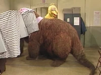 Episode 1957Big Bird invites Mommy Snuffleupagus to the voting area to vote.
