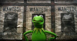 MMW Kermit efterlyses-plakat