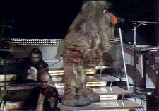 Royal Variety Performance for 1977, as a musician.