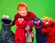 Sheeran with the Sesame Street Muppets.
