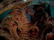 Elack's Pilot.jpg (348 KB)