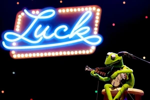 Kermit at Luck Reunion