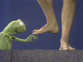 Feet in Kermit Lecture: Feet (First: Episode 0371)