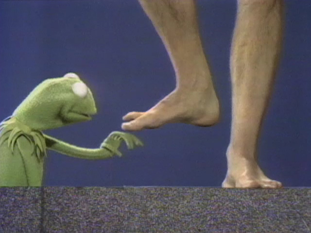 Muppet feet, Coleen gave me a whole bunch of toe socks and …