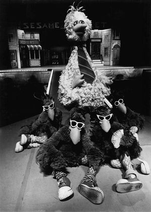 BigBirdTheSeedyBirds.jpg