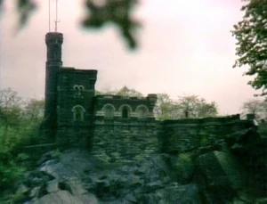 An exterior view of the Count's castle.