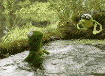 Kermit spits water in Kermit's Swamp Years Template:Playgif