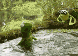 Kermit spit water swamp