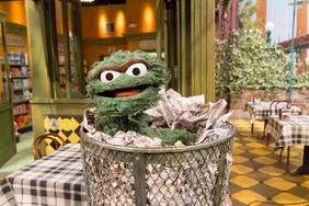 Oscar-PaperBasket.jpg (375 KB) During season 46, Oscar could appear from a trash can in front of Hooper's Store...