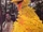 Big Bird goes to Camp Echo Rock