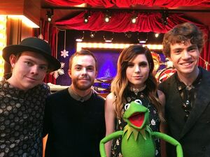 Echosmith-kermit2