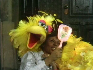 Susan shows Big Bird how to use a mirror.