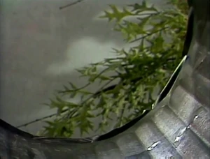 A Grouch's eye view of the outside world from within Oscar's can in .