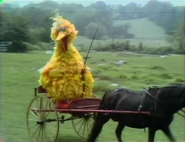 Bigbirdtheme.jpg (25 KB) "Sesame Street Theme"