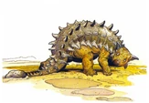 The "woeful" ankylosaur.