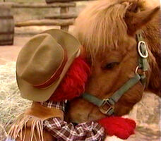 A live horse & ElmoElmo's World: Wild Wild West!