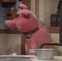 pig in episode 408