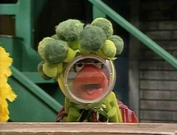 3161 Wanda Cousteau broccoli