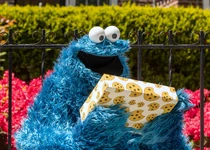 5202-CMMail.jpg (2.72 MB)