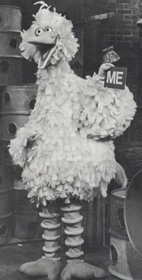 BB-WonderfulMeBW.jpg (139 KB)