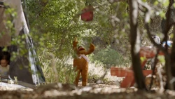 Fozzie in The Muppets episode "Bear Left Then Bear Write"