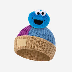 Sesame Street hats (Love Your Melon), Muppet Wiki