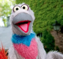 pigeon in Murray Has a Little Lamb: Birds